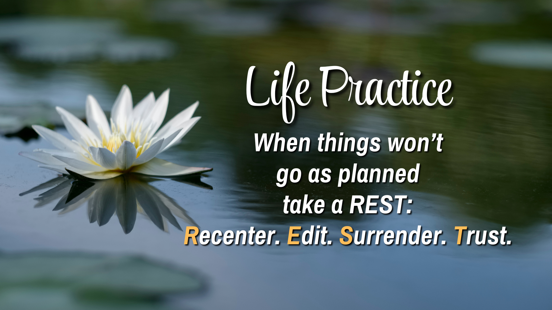 Life Practice

When things won't go as planned take a REST:
Recenter. 
Edit. 
Surrender. 
Trust.