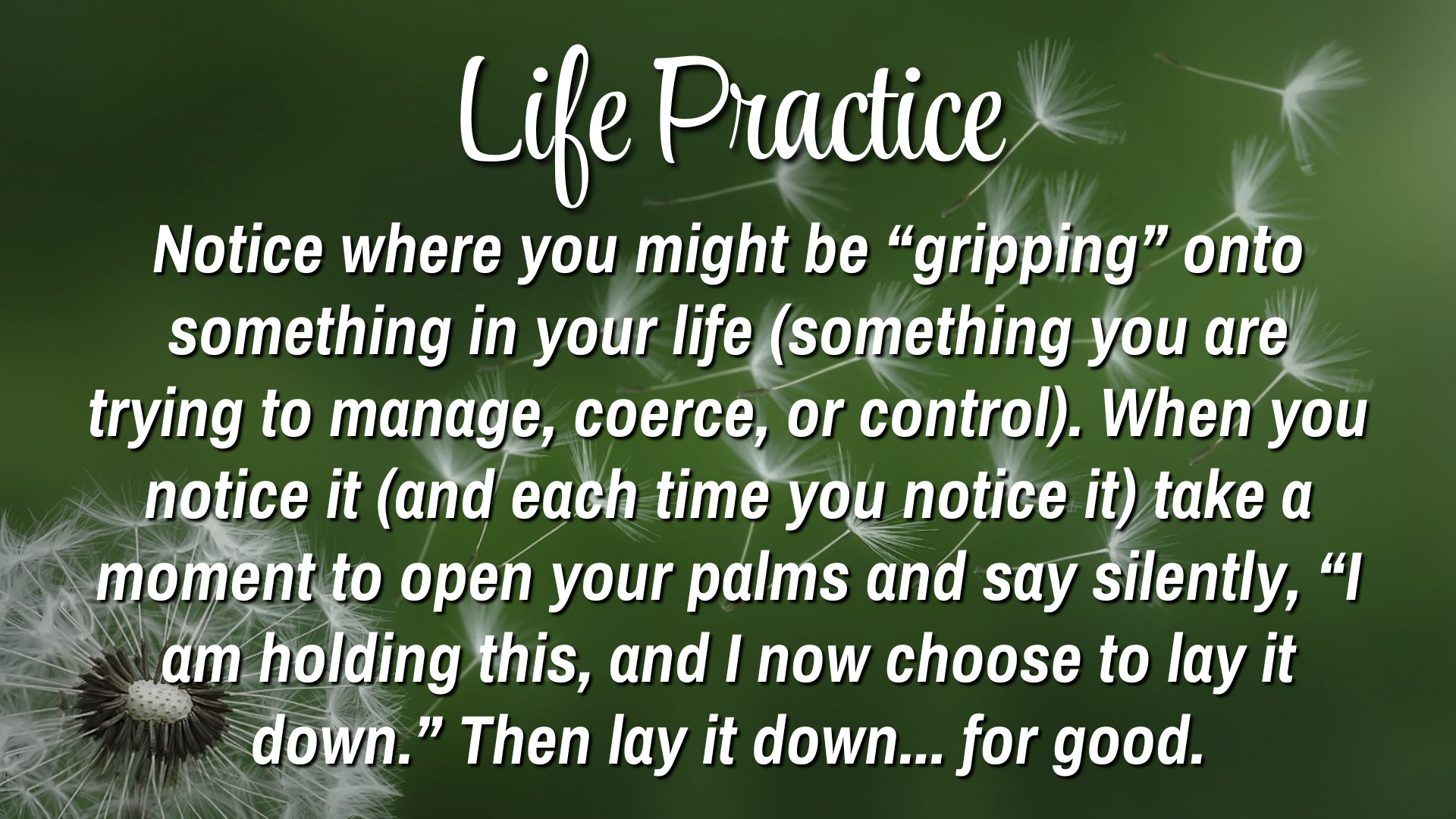 Life Practice
Notice where you might be "gripping" onto something in your life (something you are trying to manage, coerce, or control). When you notice it (and ech time you notice it) take a moment to open your palms and say silently, "I am holding 