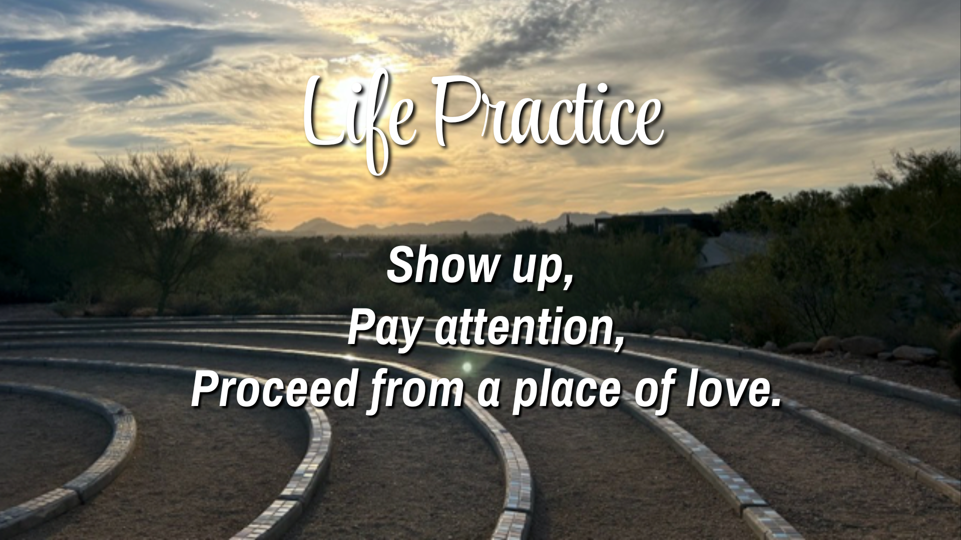 Life Practice 

Show up, Pay attention, Proceed from a place of love.  