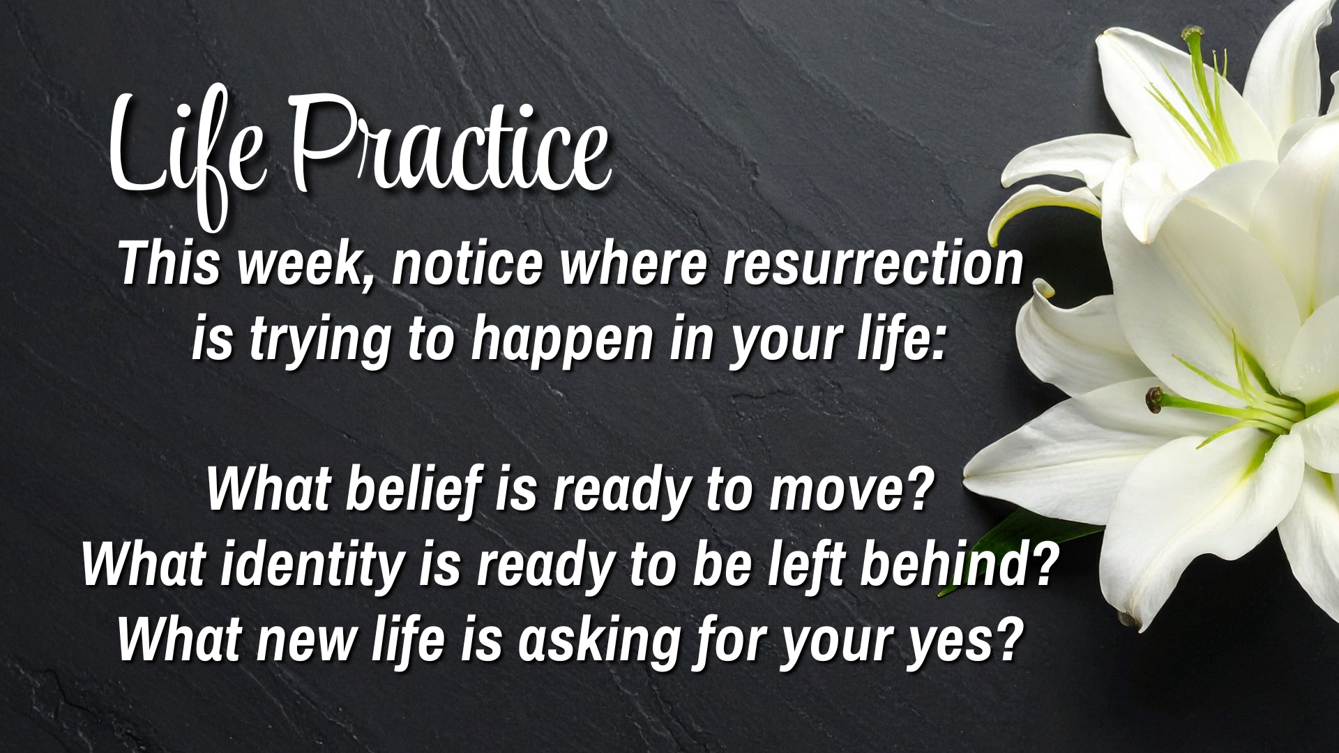  Life Practice 

This week, notice where resurrection is trying to happen in your life:
What Belief is ready to move?
What Identity is ready to be left behind?
What new life is asking for your yes?