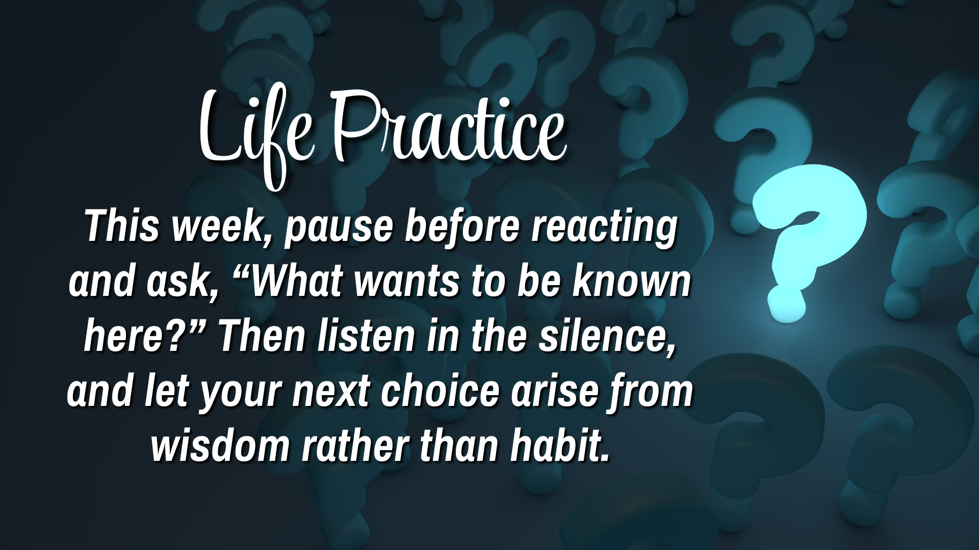 Life Practice 

This week, pause before reacting and ask, "What wants to be known here?"  Than listen in the silence, and let your next choice arise from wisdom rather than habit.