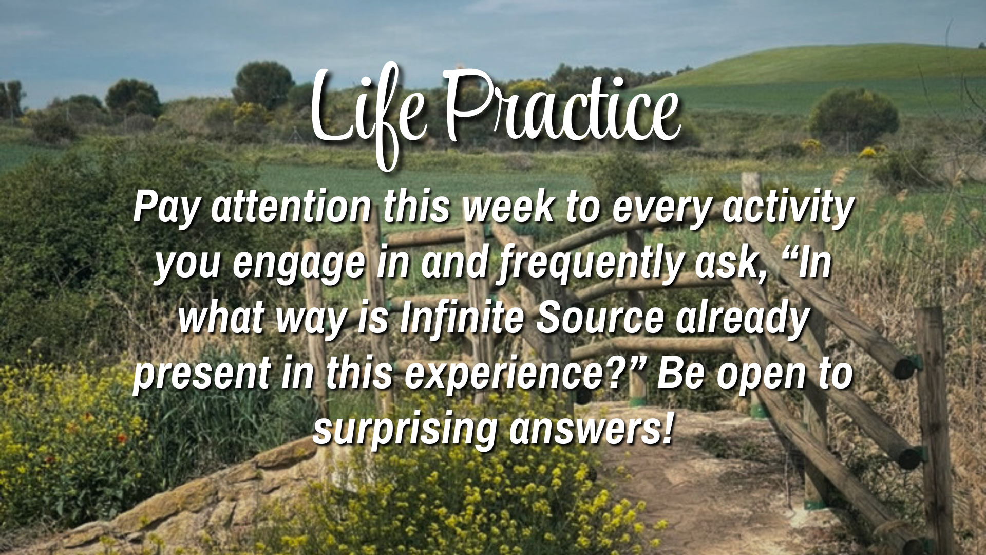 Life Practice

Pay attention this week to every activity you engage in and frequently ask, "In what way is Infinite Source already present in this experience?" Be open to surprising answers!
