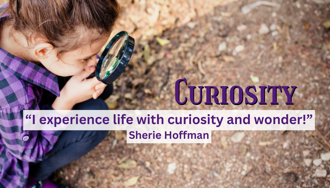 Curiosity
"I experience life with curiosity and wonder!"
-Sherie Hoffman