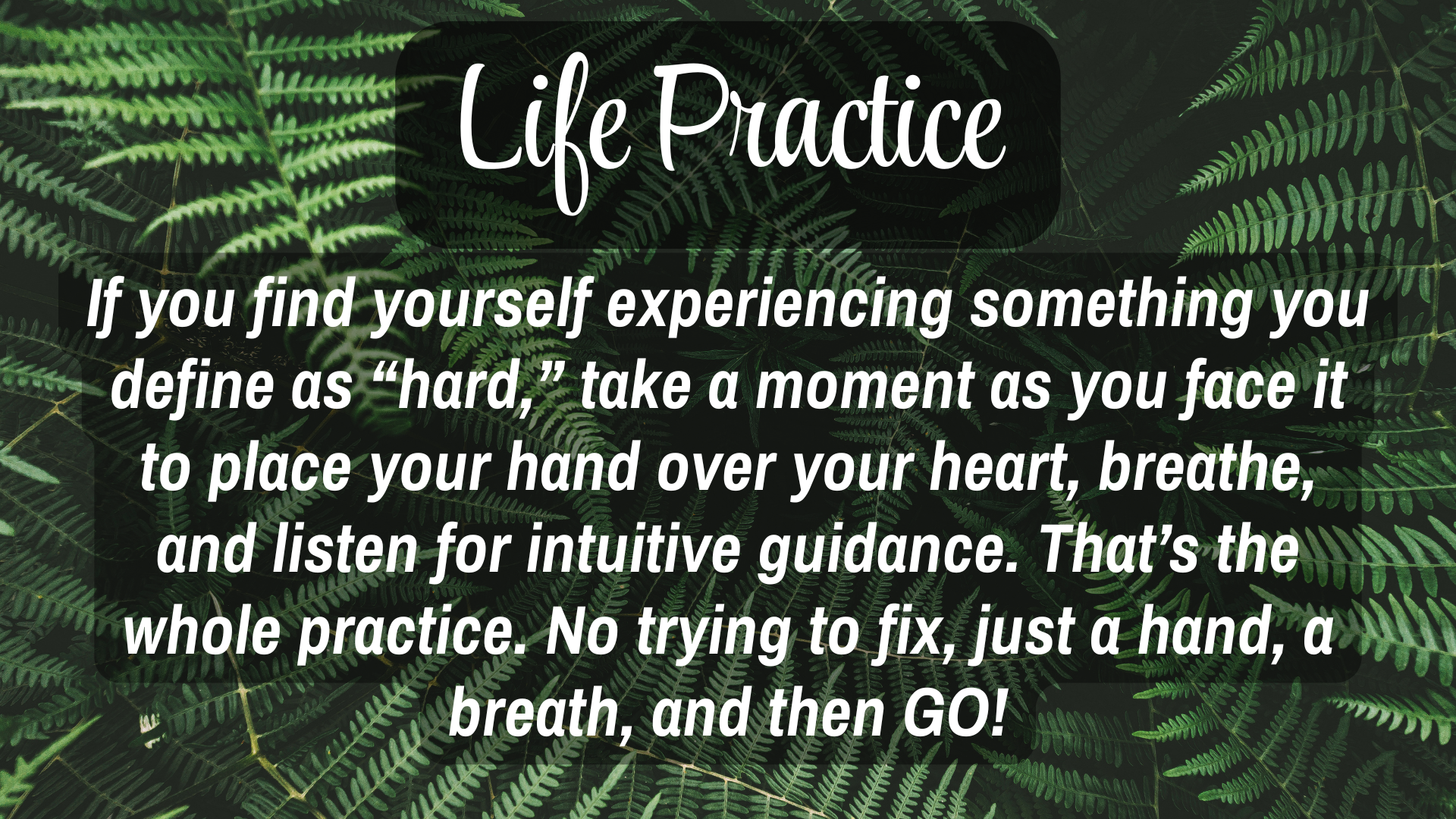 Life Practice

If you find yourself experiencing something you define as "hard," take a moment as you face it to place your hand over your heart, breathe, and listen for intuitive guidance. That's the whole practice. No trying to fix, just a hand, a 