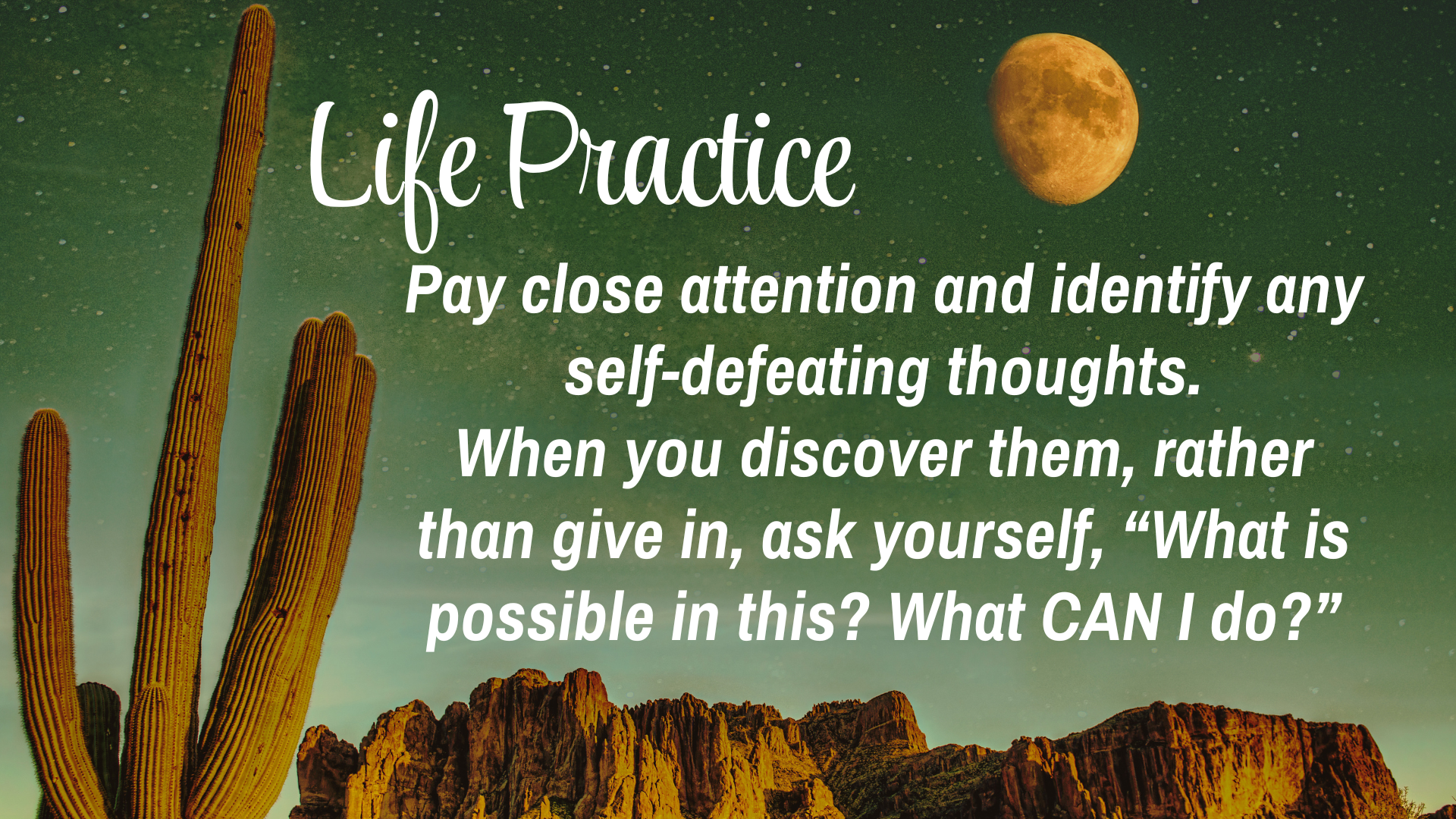 Life Practice 

Pay close attention and identify any self-defeating thoughts. When you discover them, rather than give in, ask yourself, "What is possible in this? What CAN I do?"