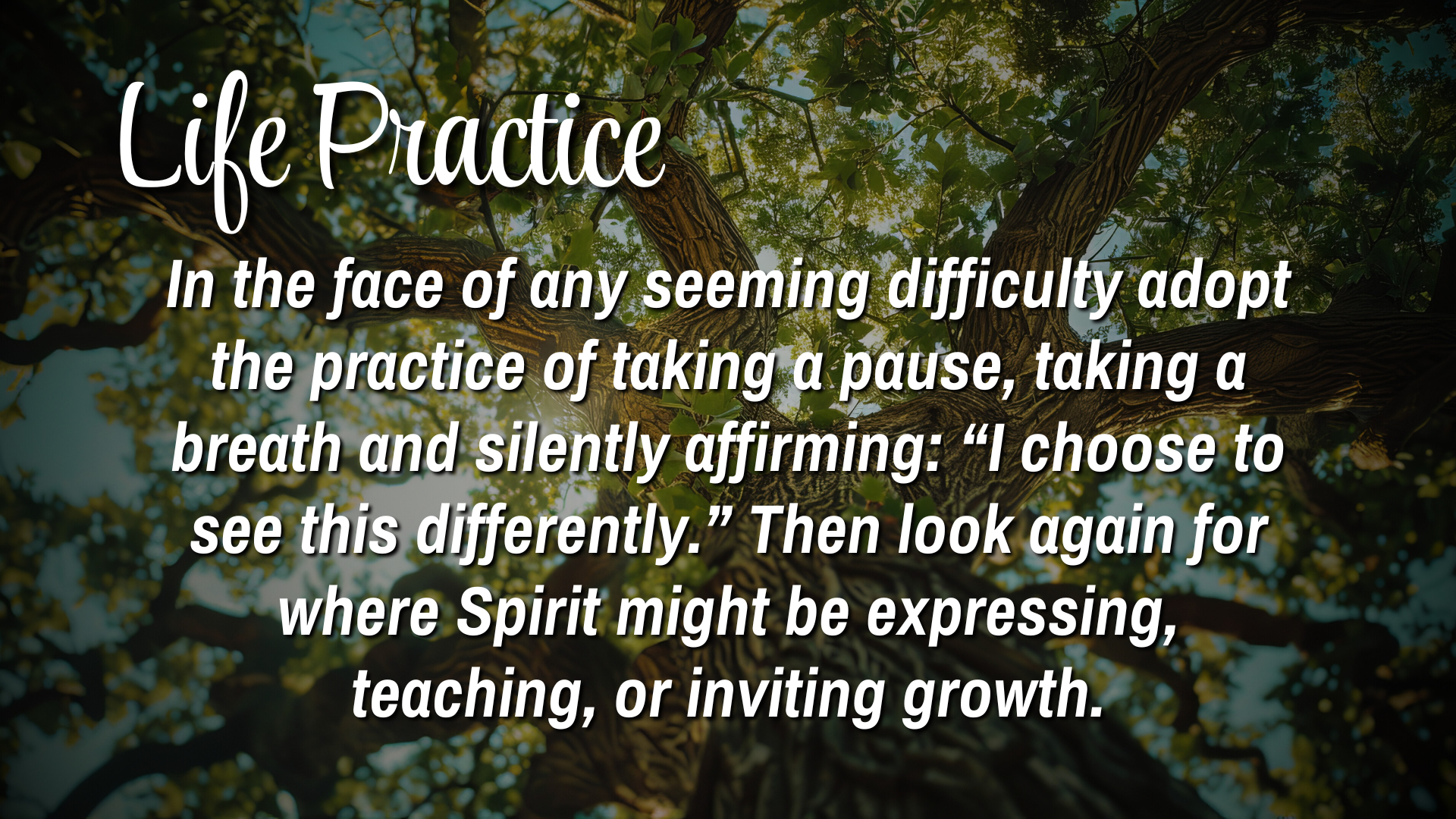 Life Practice

In the face of any seeming difficulty adopt the practice of taking a pause, taking a breath and silently affirming: "I choose to see this differently." Then look again for where Spirit might be expressing teaching, or inviting growth.