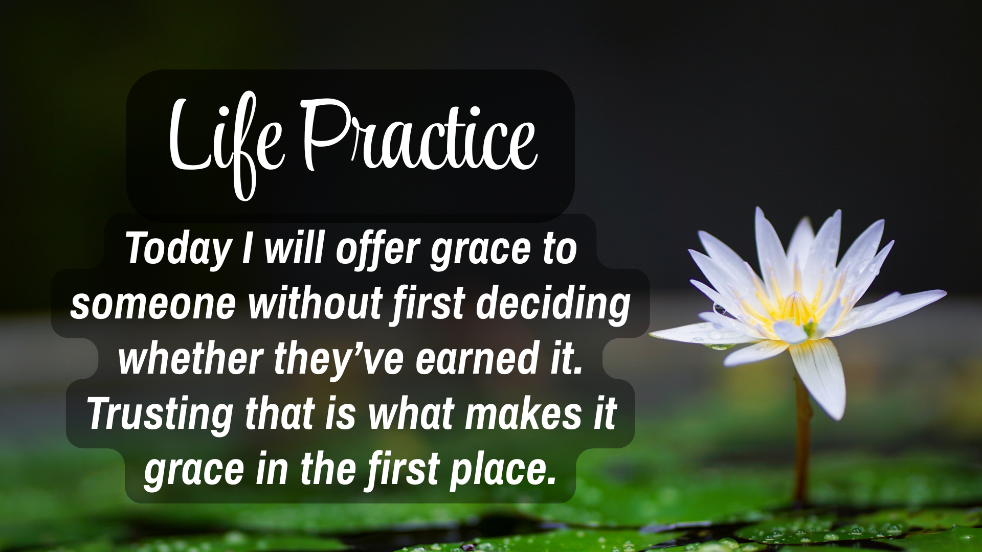 Life Practice

Today I will offer grace to someone without first deciding weather they've earned it. Trusting that is what makes it grace in the first place. 