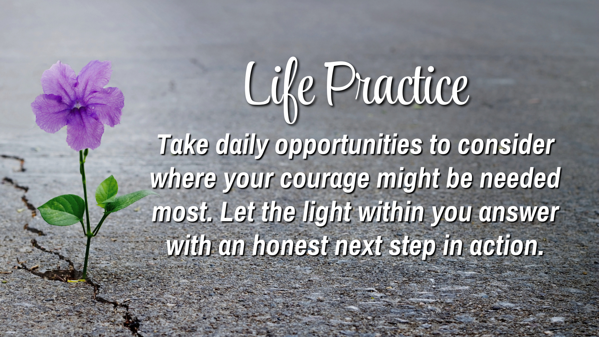 Life Practice

Take daily opportunities to consider where you courage might be needed most. Let the light within you answer with an honest next step in action. 