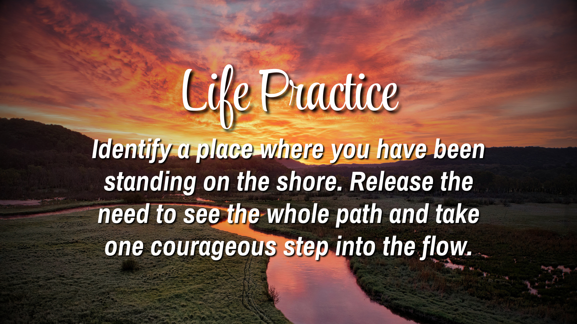 Life Practice

Identify a place where you have been standing on the shore. release the need to see the whole path and take on courageous step into the flow.