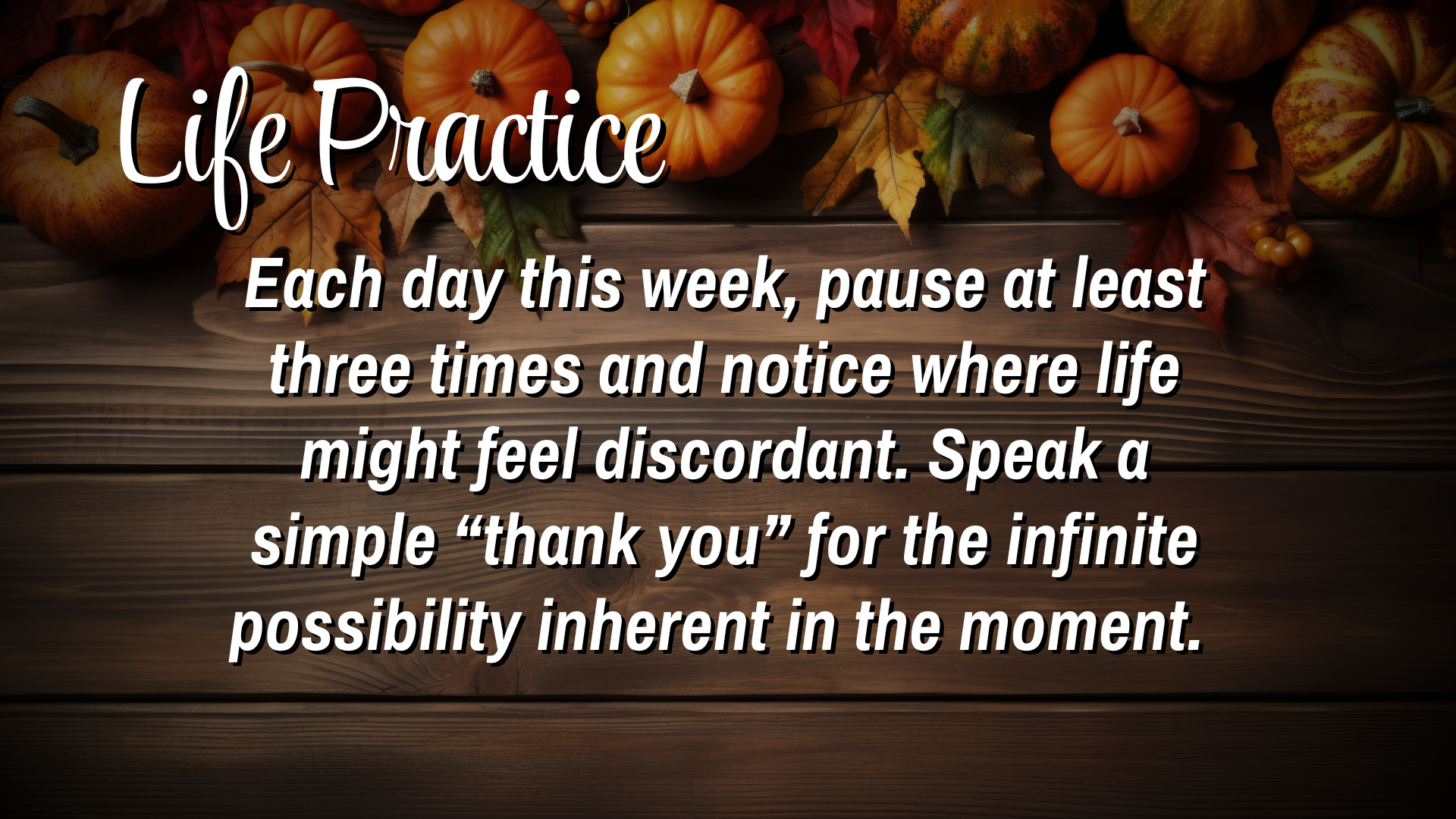 Life Practice
Each day of this week, pause at least three times and notice where life might feel discordant. Speak a simple "thank you" for the infinite possibility inherent in the moment. 