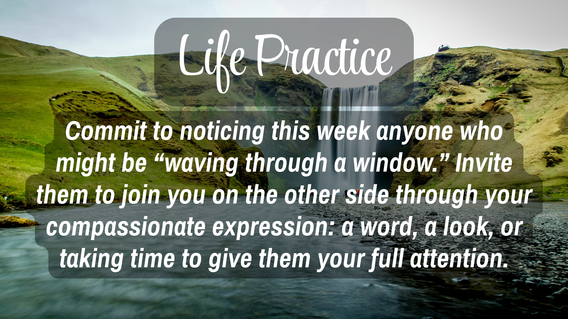  Life Practice

Commit to noticing this week anyone who might be 'waving though a window.*" Invite them to join you on the other side though your compassionate expression: a word, a look, or taking time to give them your full attention.

*This quote 