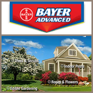 Bayer Advanced