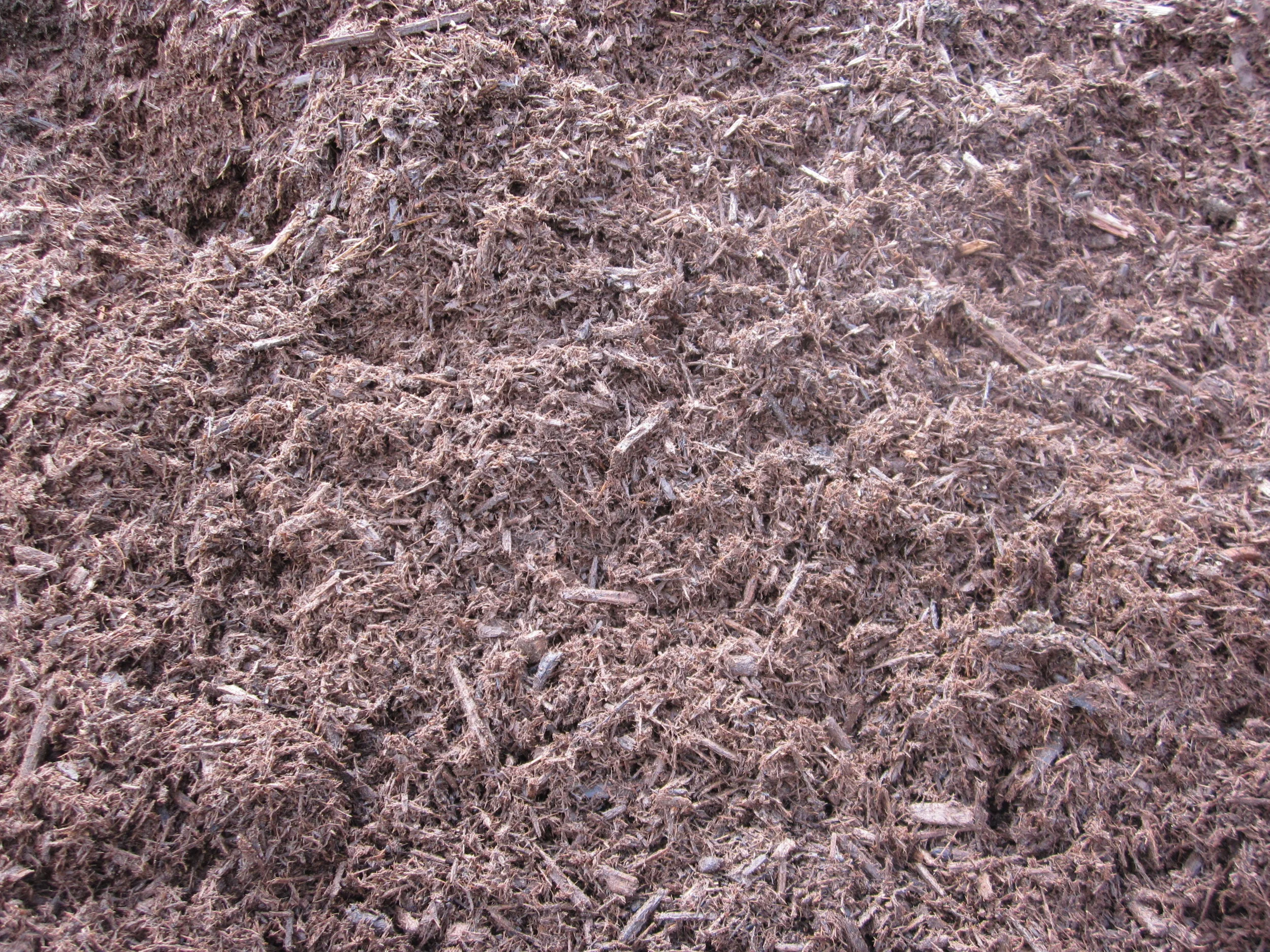 RootMulch.JPG?format=2500w