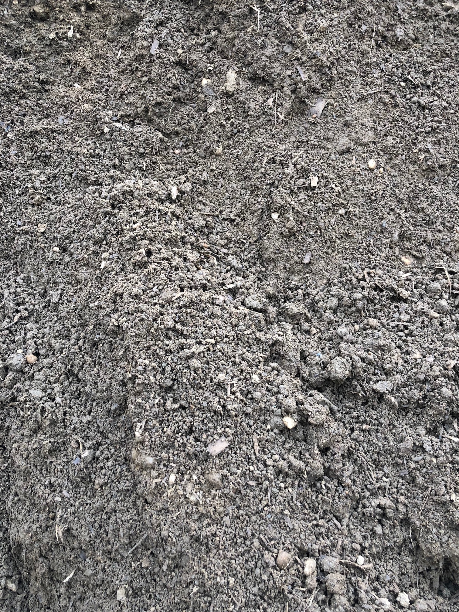 Screened Topsoil per cubic yard — Timothy's Center for Gardening