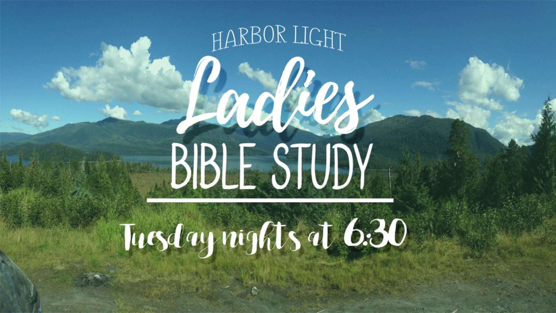 Ladies Bible Study Downstairs or via ZOOM