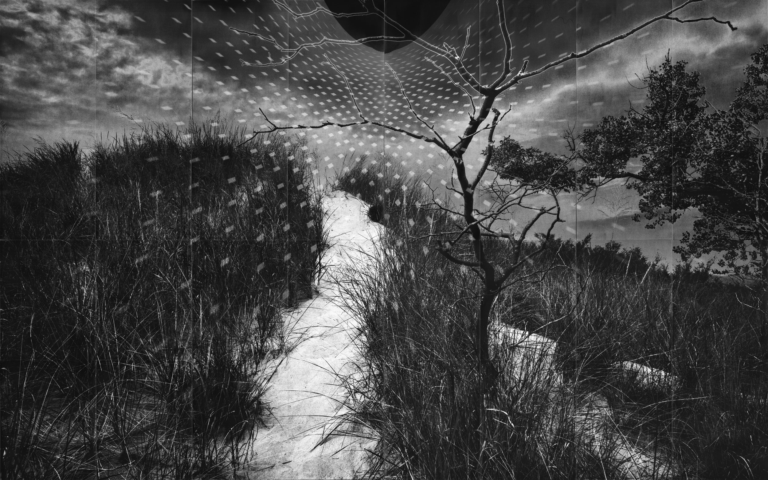 20x32_Dunes.jpg