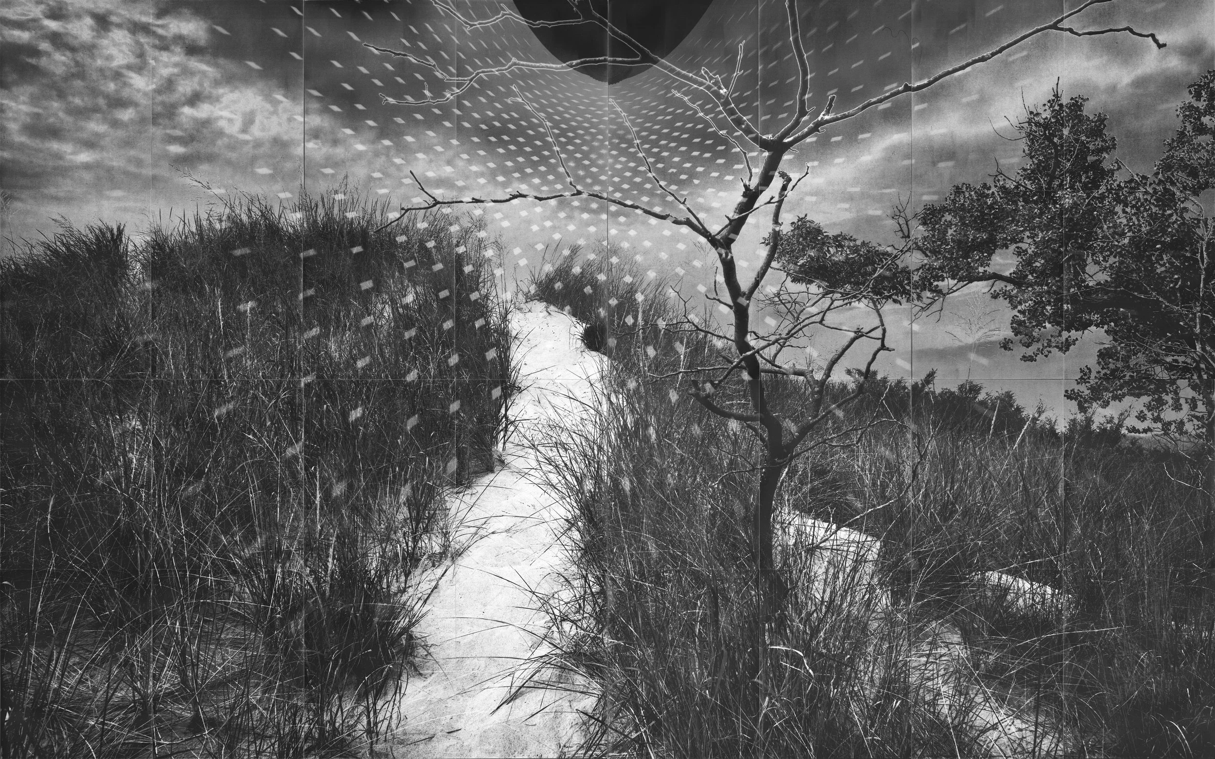 GMT__Dunes_LJ300BW_20x32F.jpg