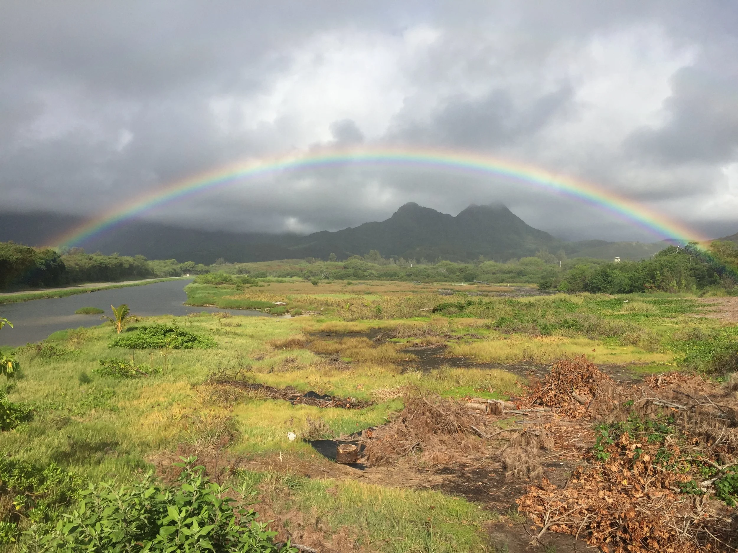 03 BAFS Pu'ewai Wetlands_Rainbow_06.13.17.jpeg