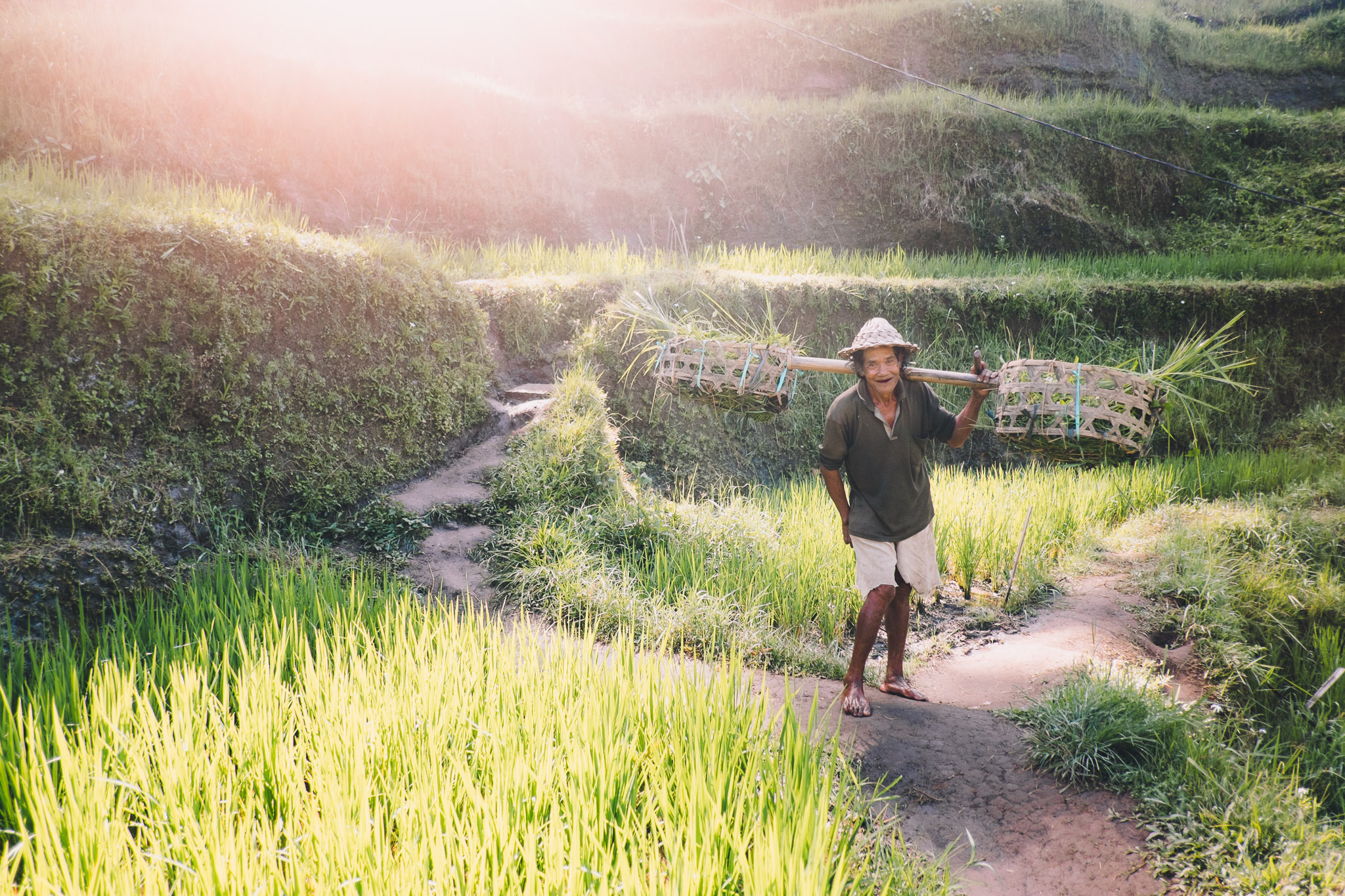 indonesia-bali-rice-fields-4.jpg