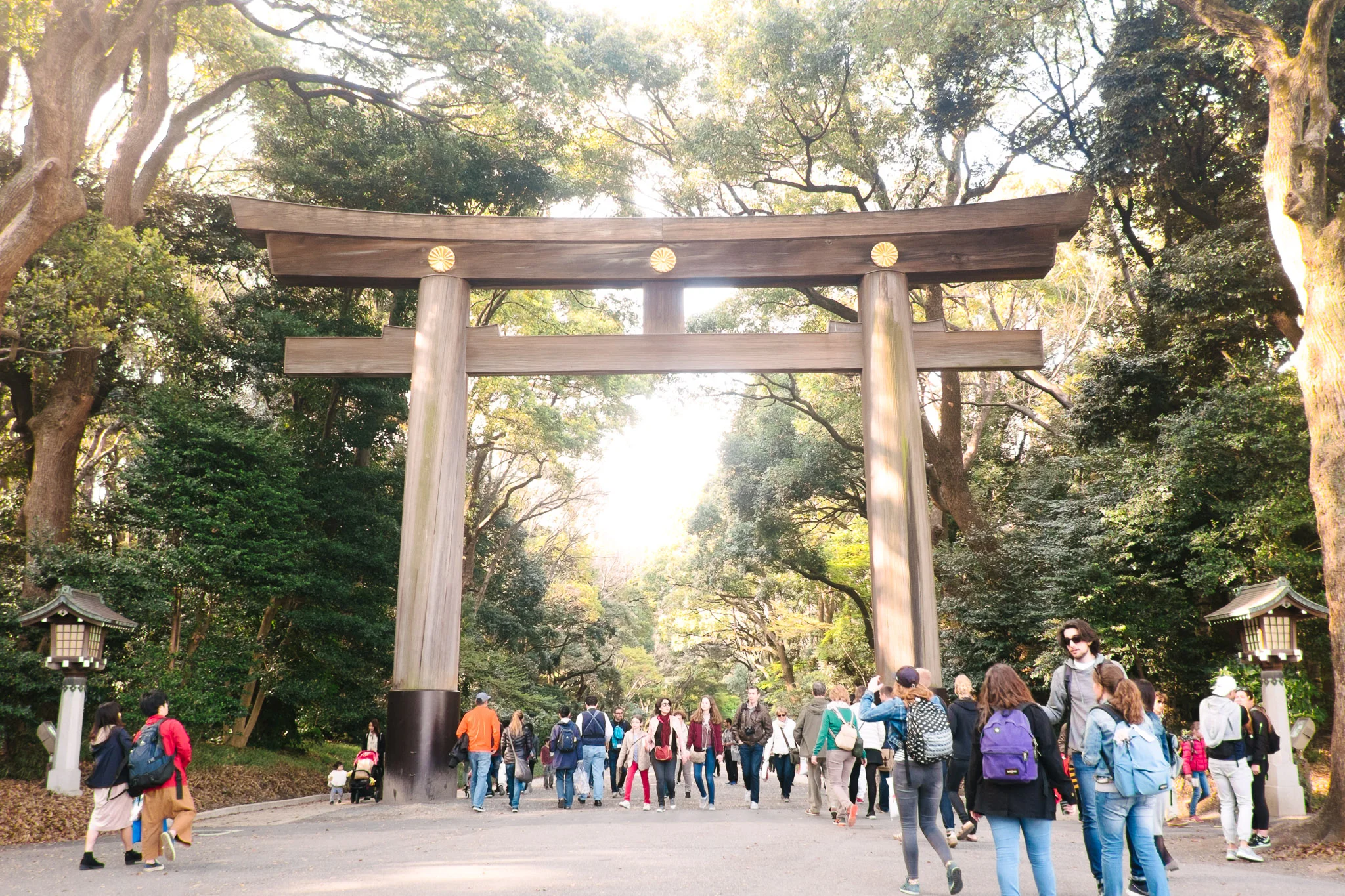japan-tokyo-meiji-shrine-1.jpg