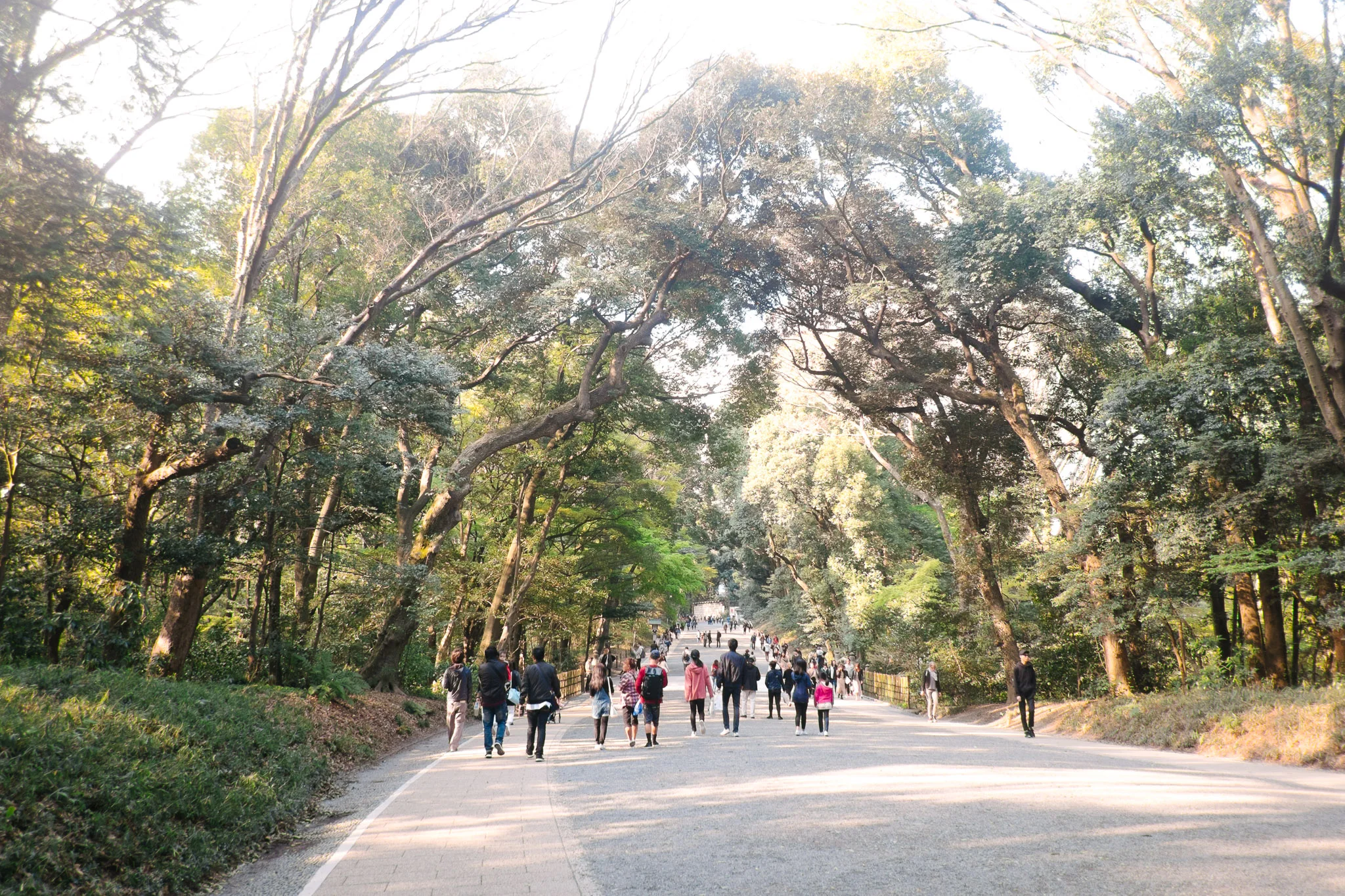 japan-tokyo-meiji-shrine-2.jpg