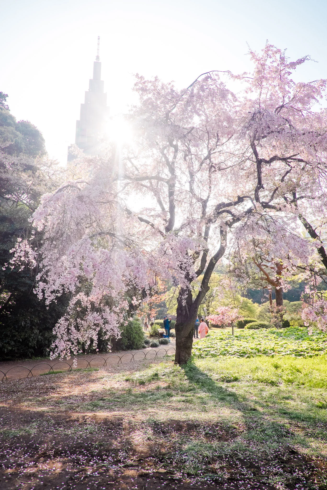 japan-tokyo-park.jpg