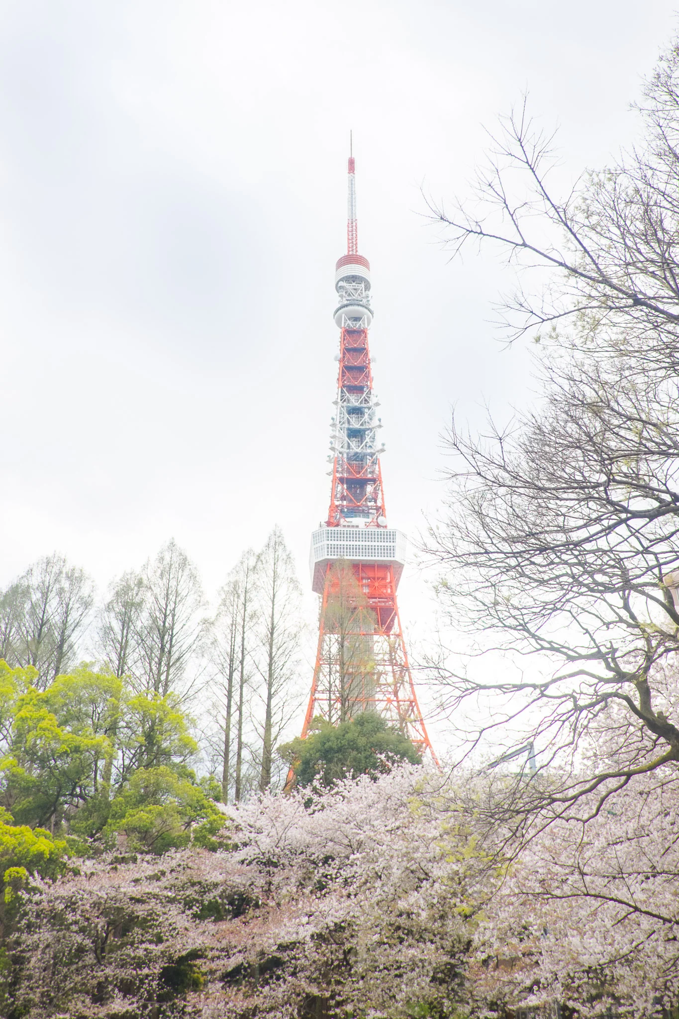 japan-tokyo-tower.jpg