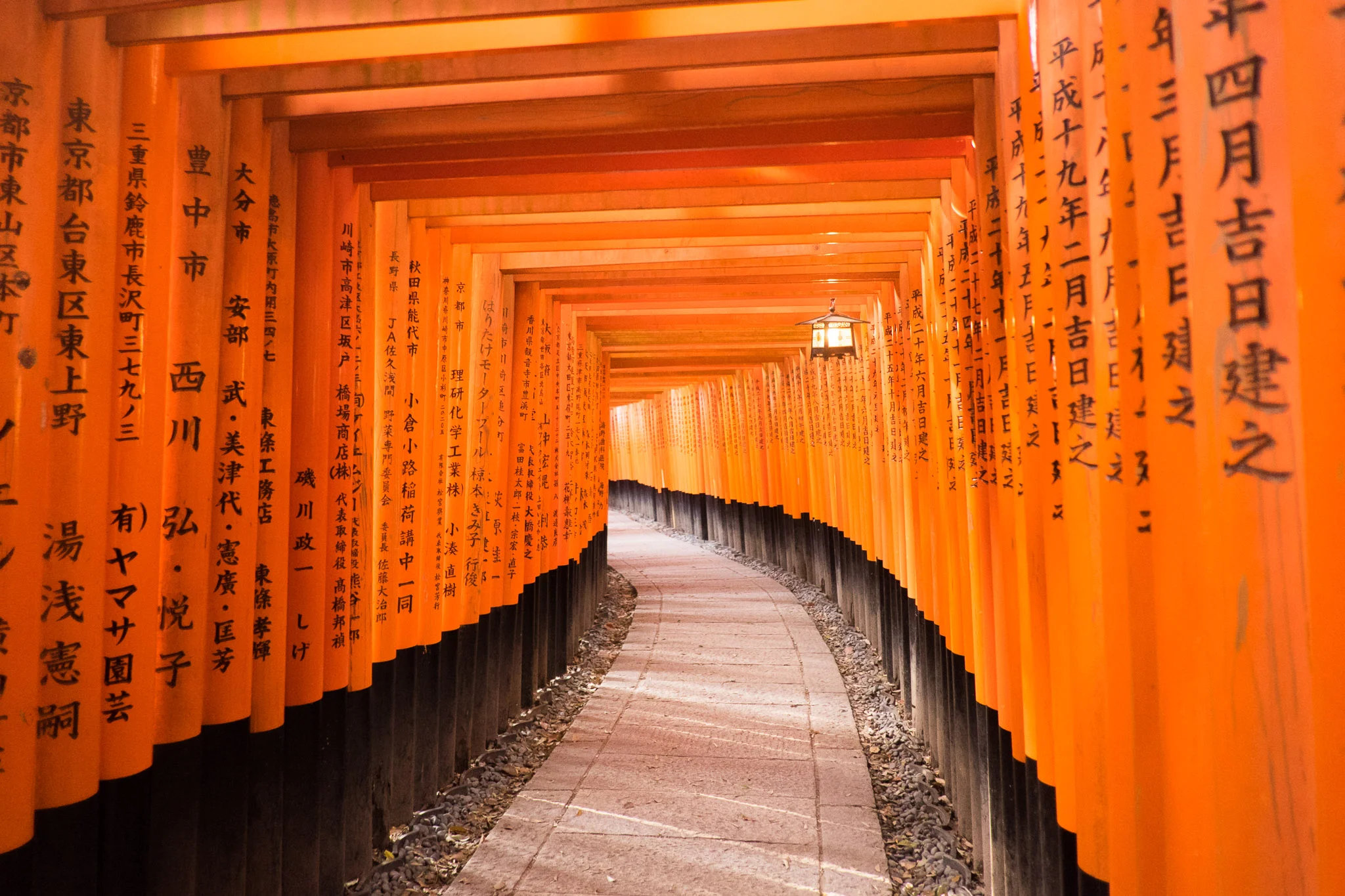 Japan Lighthearted Adventures