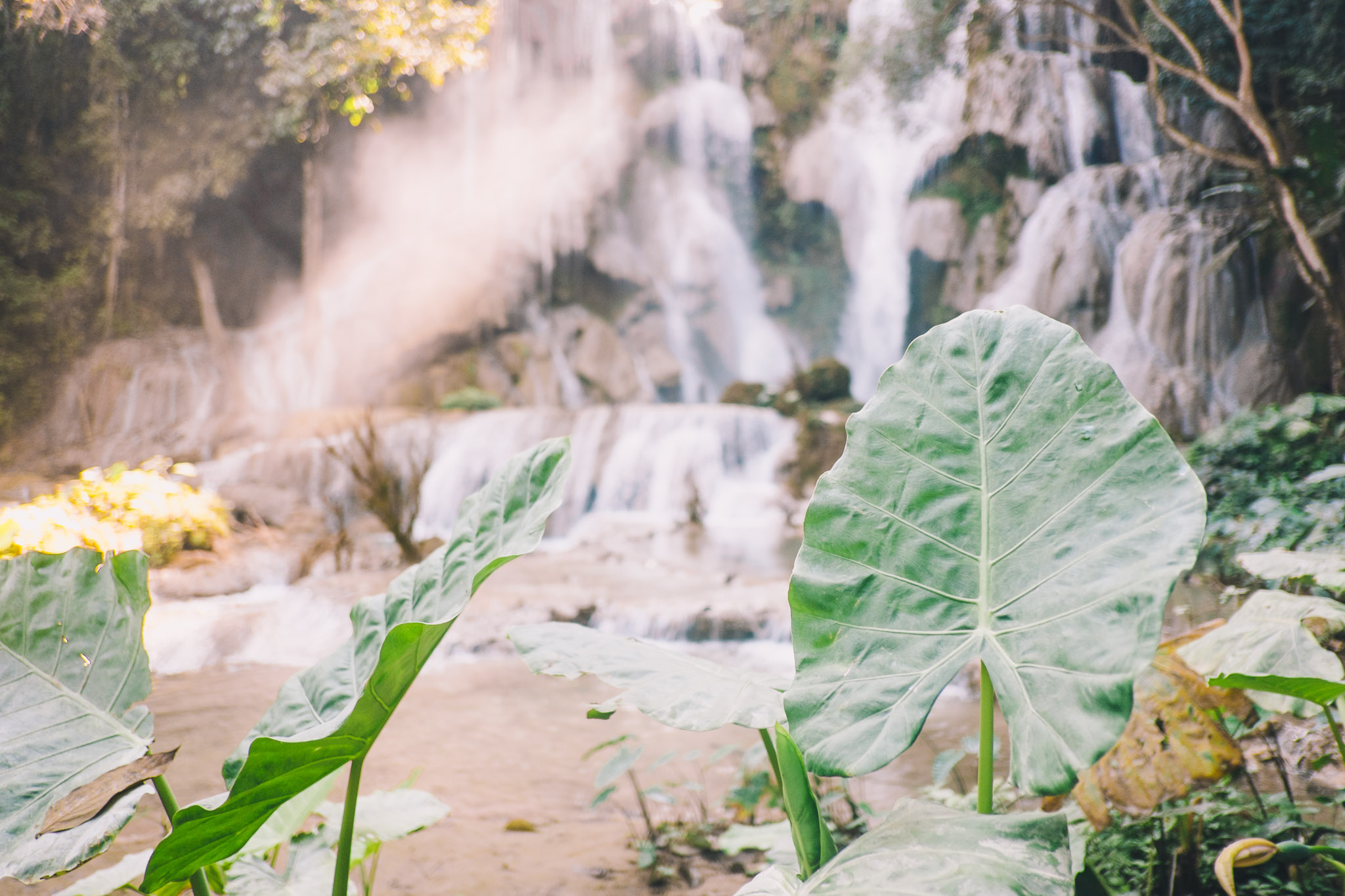 laos-luang-prabang-kuang-si-falls-5.jpg