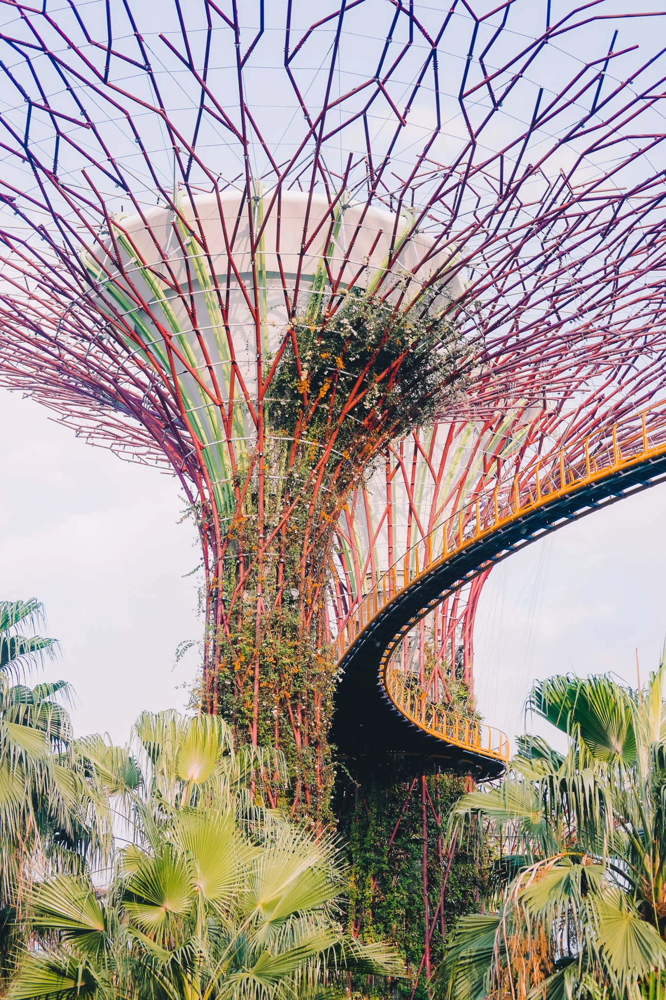singapore-gardens-by-the-bay-supertrees.jpg