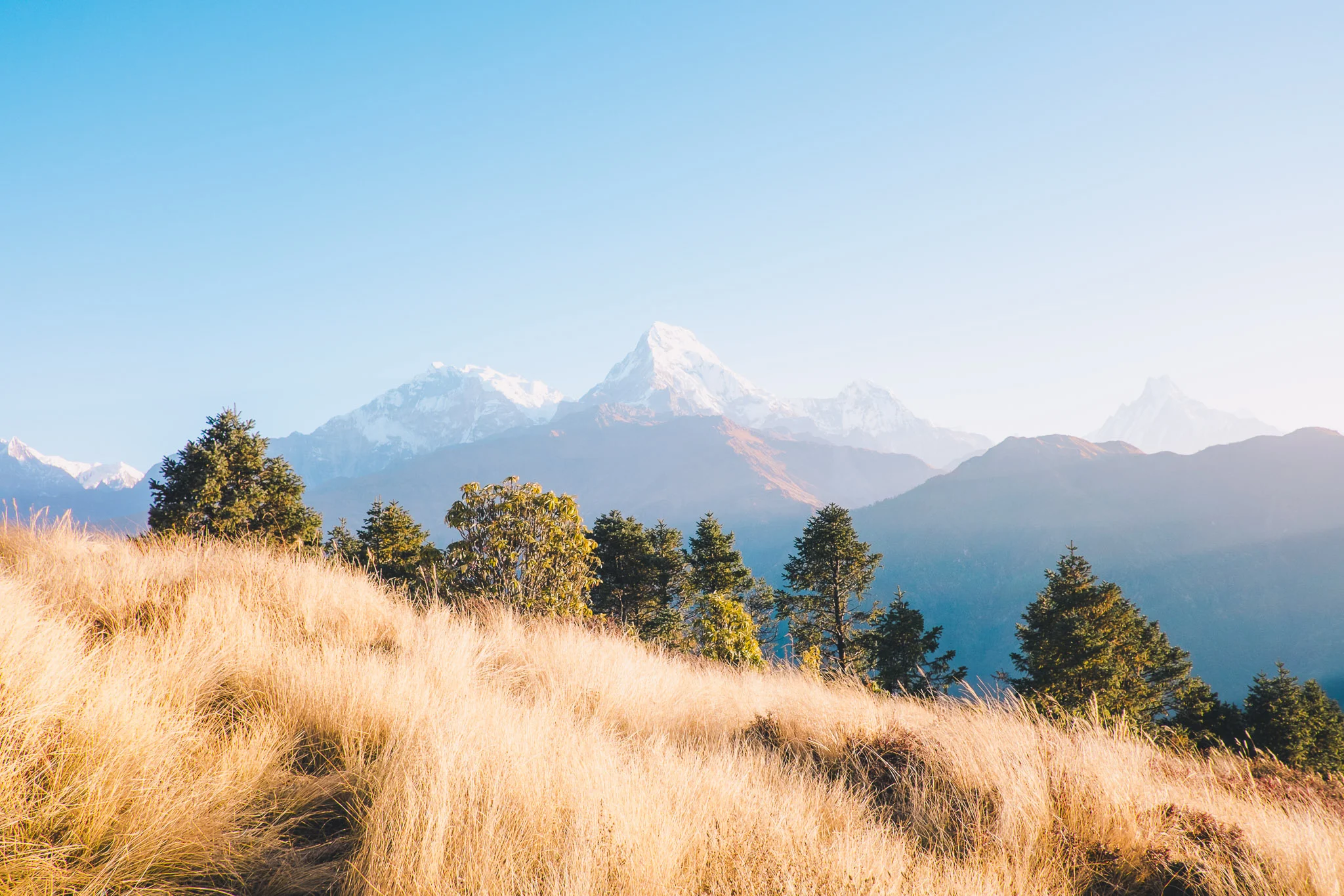nepal-pokhara-ghorepani-poon-hill-mountain-teahouse-trek-26.jpg