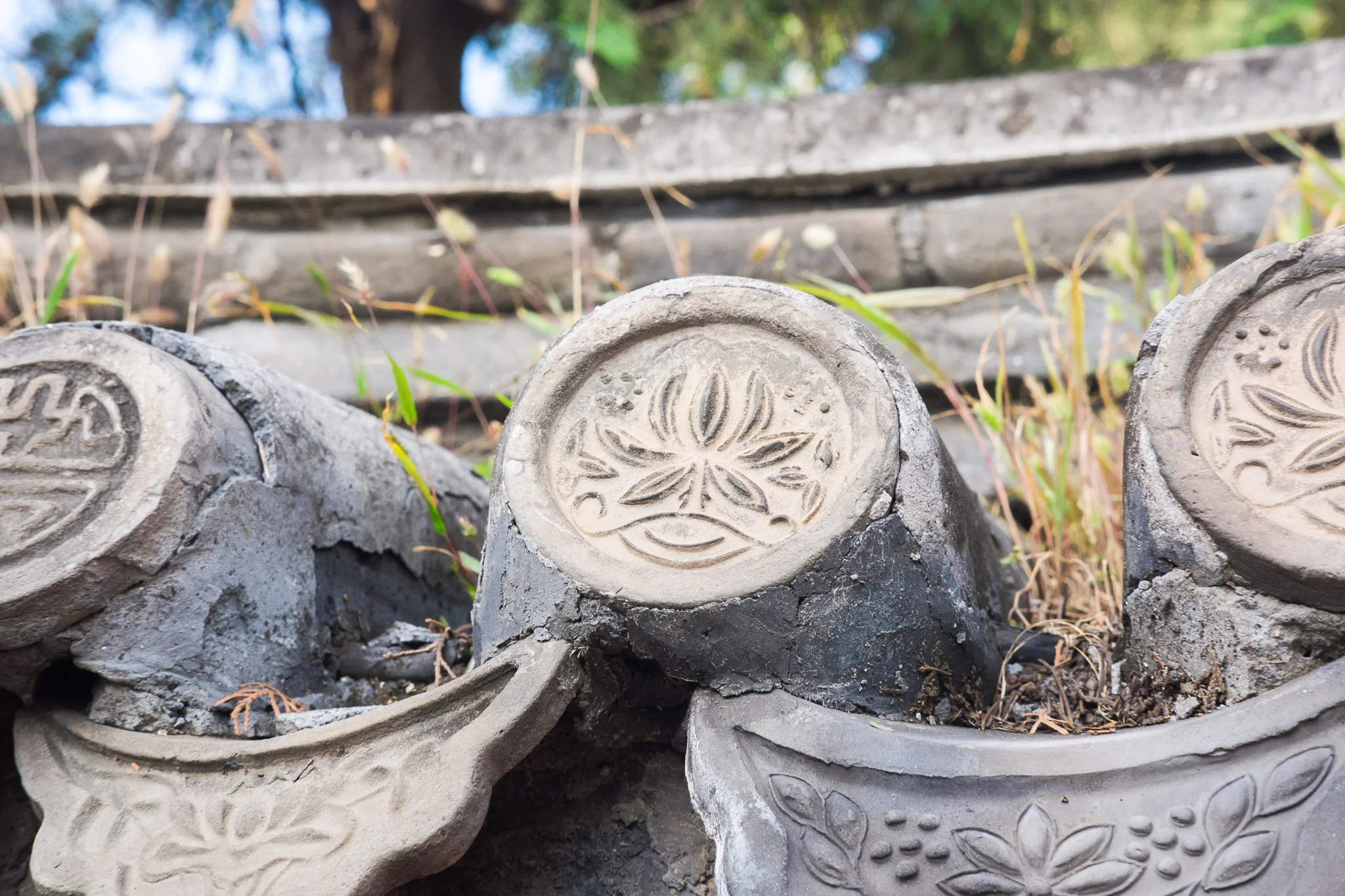 china-beijing-summer-palace-lotus.jpg
