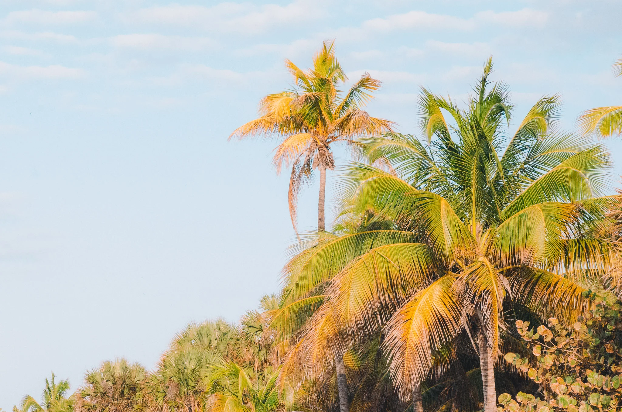 cuba-varadero-9.jpg