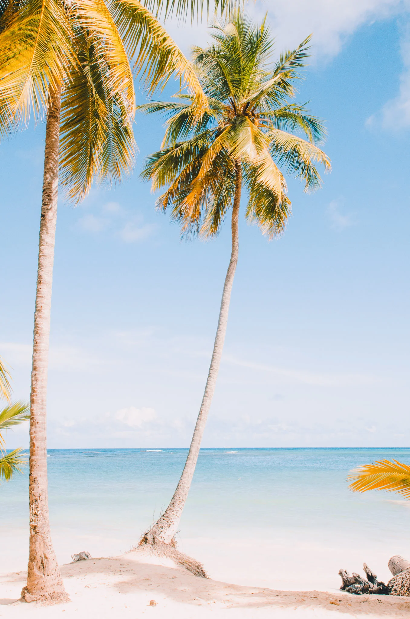 dominican-republic-2.jpg
