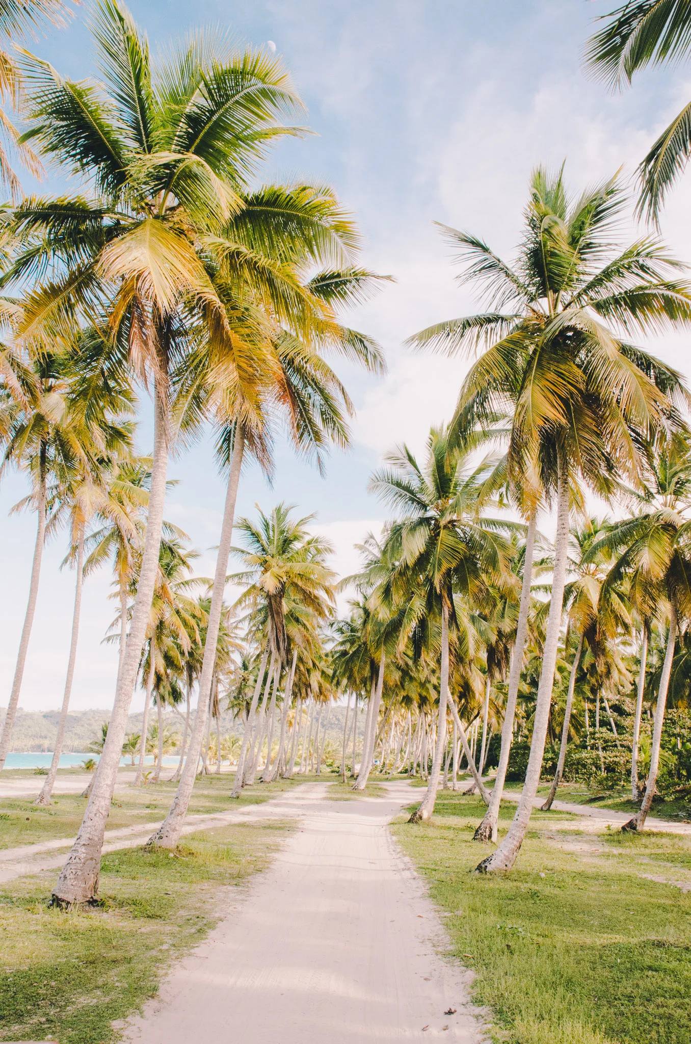 dominican-republic-9.jpg