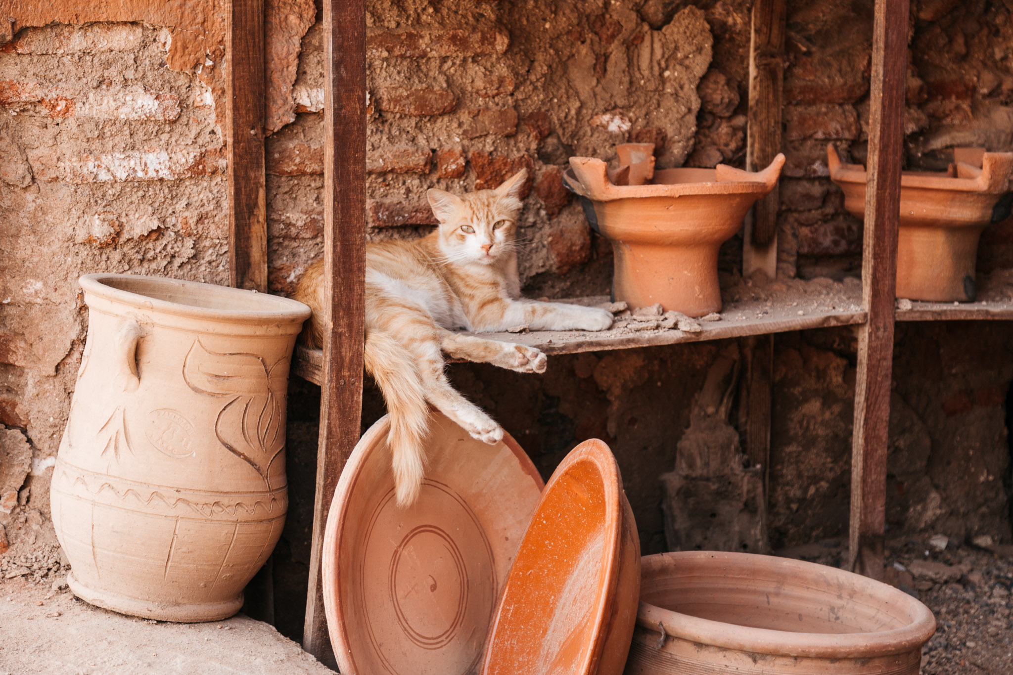 morocco-marrakech-20.jpg