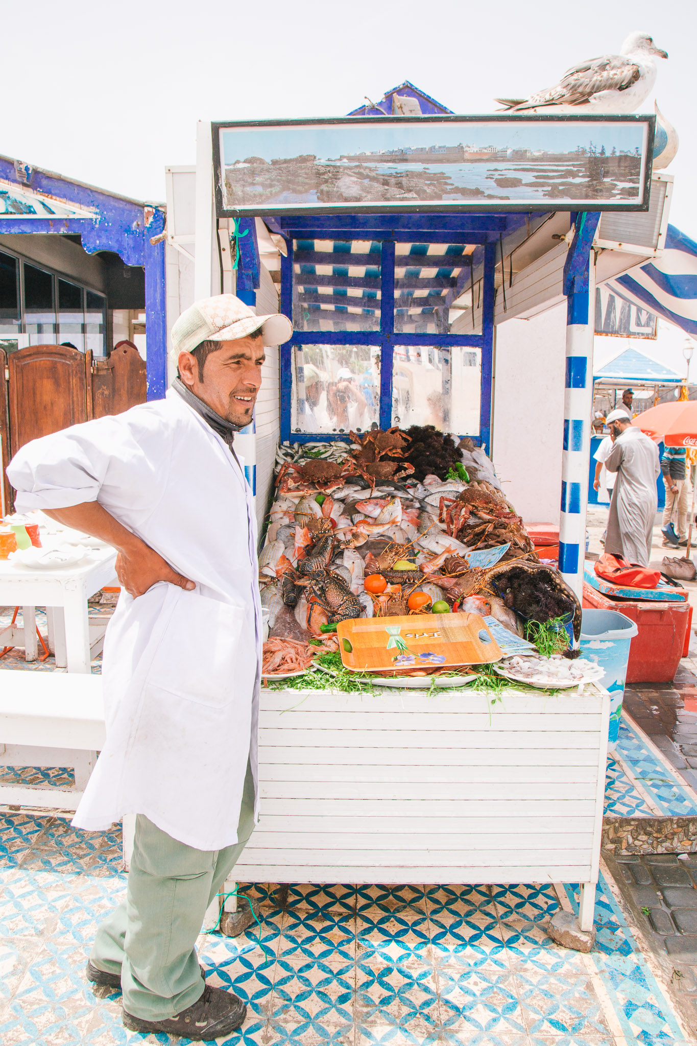 morocco-essaouira-9.jpg