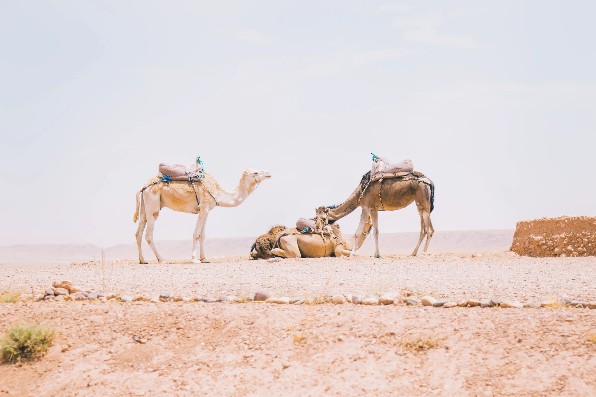 morocco-ouarzazate-ait-ben-haddou-1.jpg