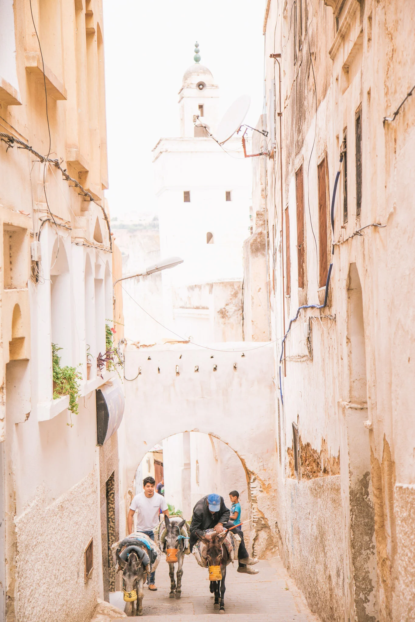 morocco-fez-fes.jpg