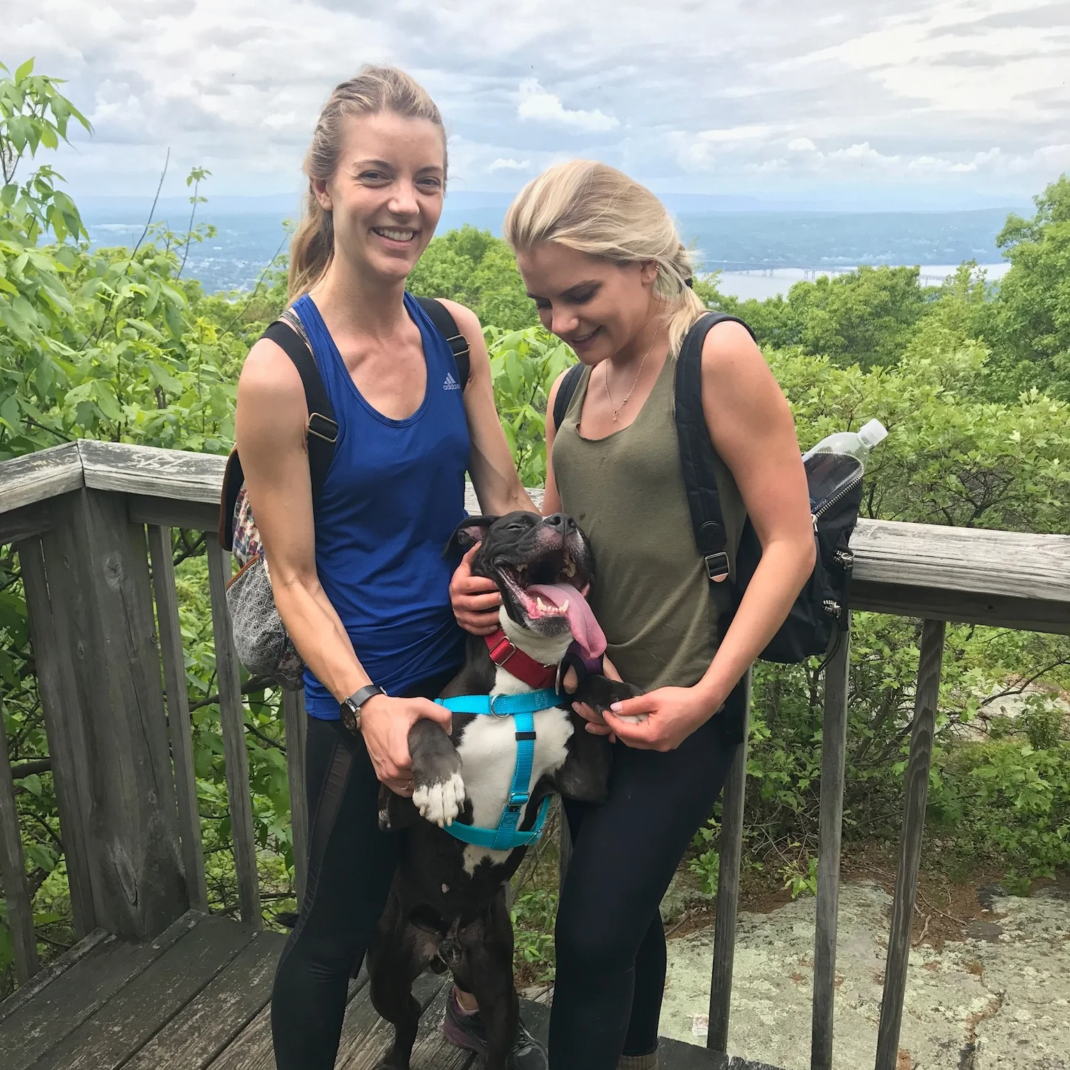 Being a foster for Rescuzilla has been one of the most fulfilling experiences. Every foster dog who I have brought into my home has added so much joy to my life. Rescuzilla makes saving an animal’s life as easy as it should be. -Emily