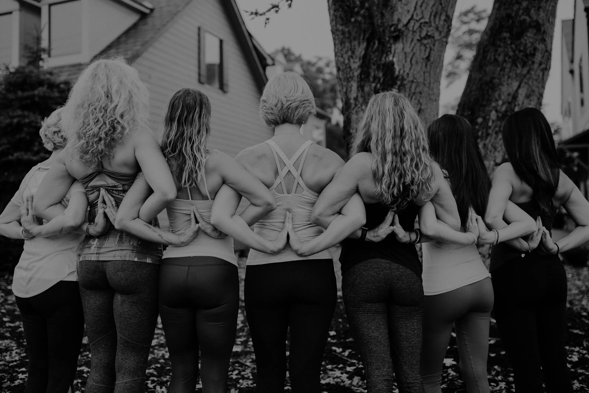 Online Tribe (Monthly)