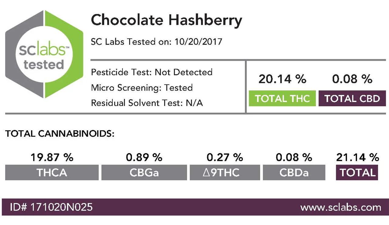 Chocolate Hashberry Outdoor 10/2017