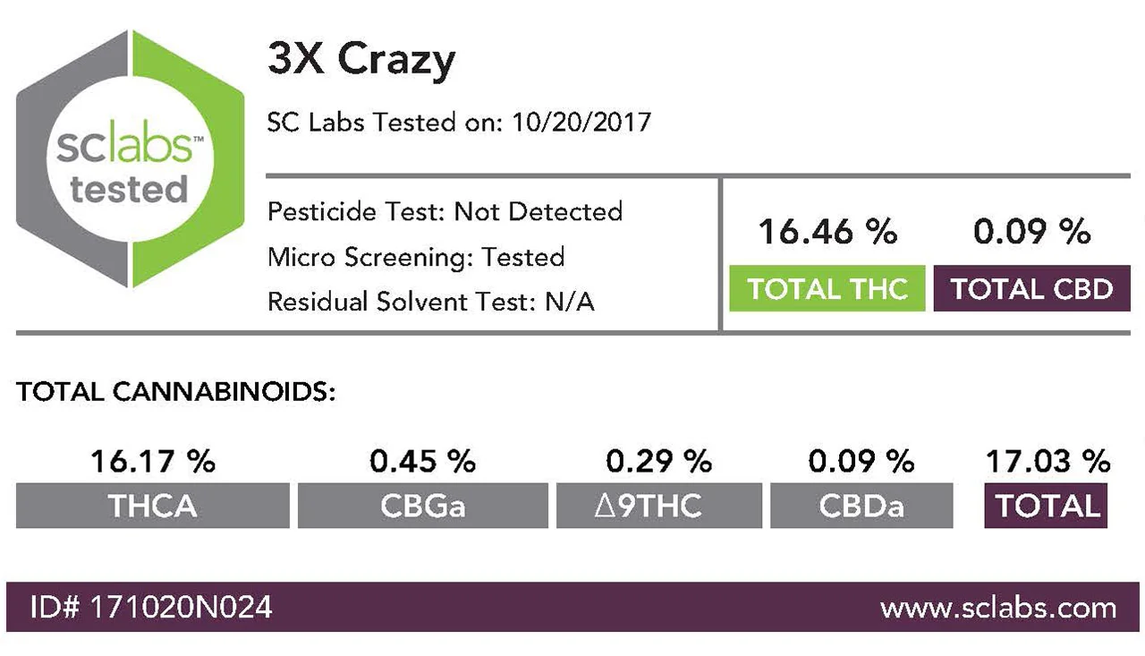 3xCrazy Outdoor 10/2017