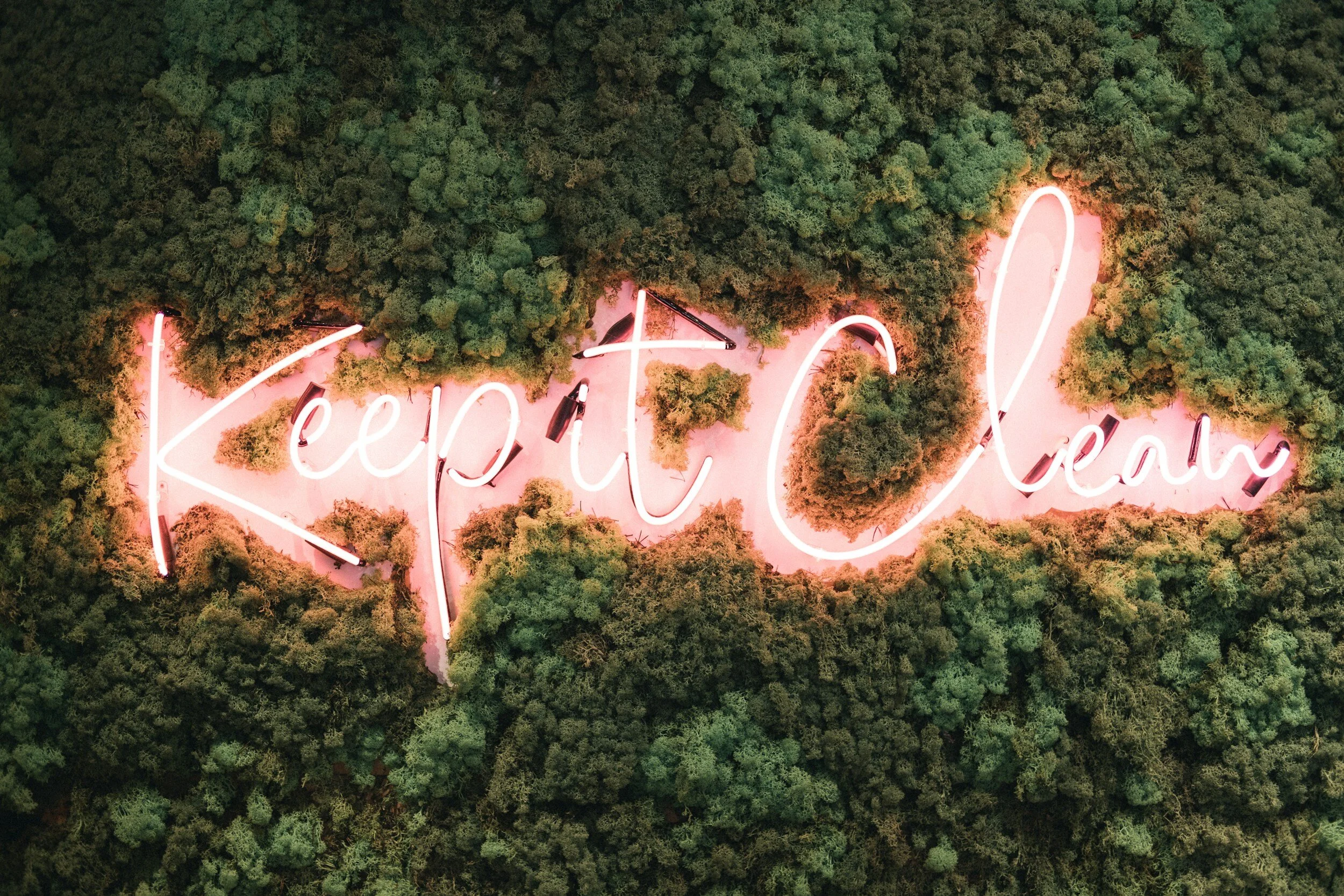 Spring Cleaning Your Business Social Media Profiles