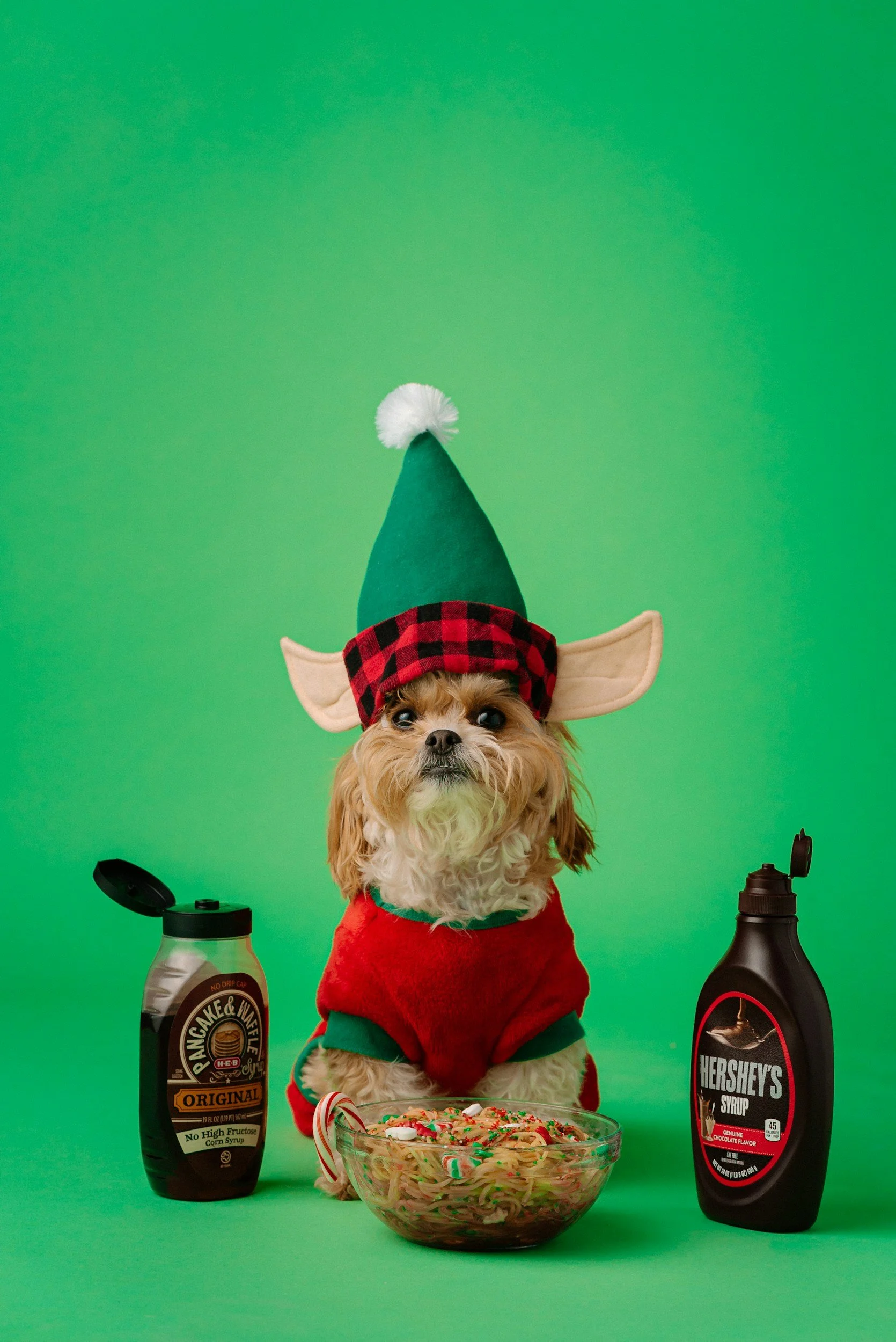 2026 Content Trend Predictions (Straight from the Elves)