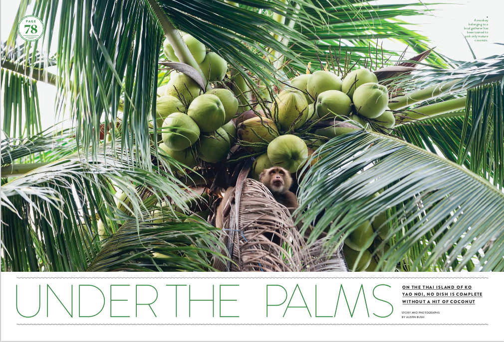  Text and photos: “ Under the Palms ,”  Saveur . 