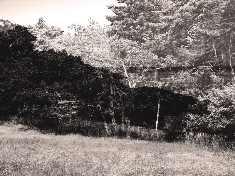 Untitled Digital print on archival cotton rag 51 x 38 cm