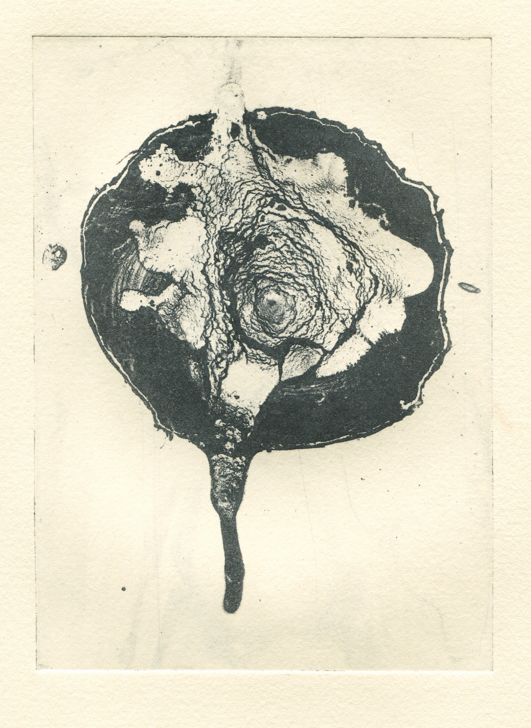 Untitled Photographic etching on Spanish cotton rag 30 x 35 cm