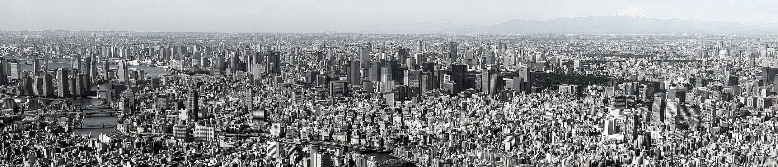 Tokyo_from_the_top_of_the_SkyTree_%28cropped%29.jpg