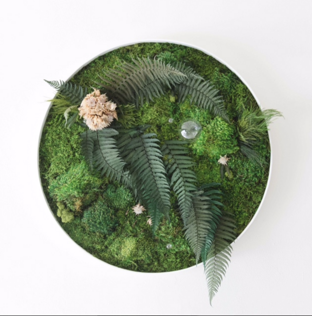 Living Artworks (Large)